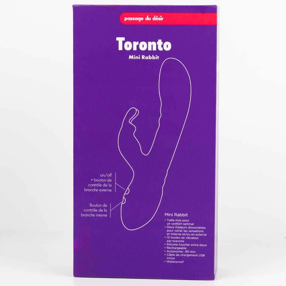 Toronto-Mini-rabbit-Passage-du-desir-2.jpg